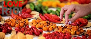 Rio de Janeiro myndir